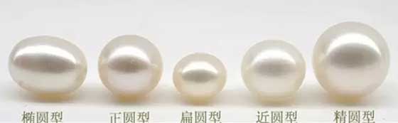 淡水珍珠圆度