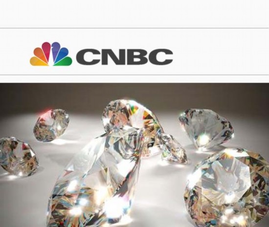 纳米比亚一78克拉钻石遭窃 售价或达600万美圆 (网页截图)
