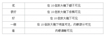 钻石抛光指的是甚么 钻石抛光品级别离