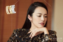 钻石耳饰格式图片|热点钻石耳钉价钱